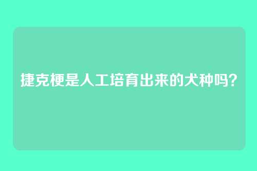 捷克梗是人工培育出来的犬种吗？