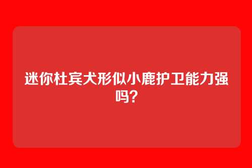 迷你杜宾犬形似小鹿护卫能力强吗？