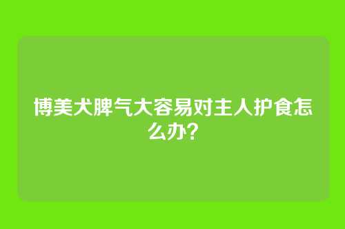 博美犬脾气大容易对主人护食怎么办？