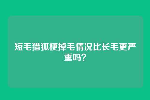 短毛猎狐梗掉毛情况比长毛更严重吗？