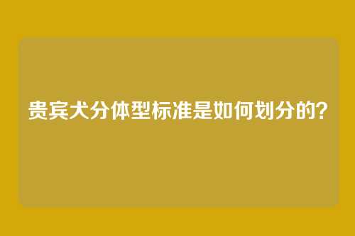 贵宾犬分体型标准是如何划分的？