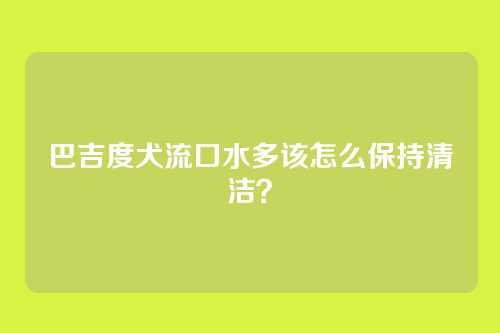 巴吉度犬流口水多该怎么保持清洁?