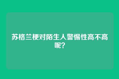 苏格兰梗对陌生人警惕性高不高呢?