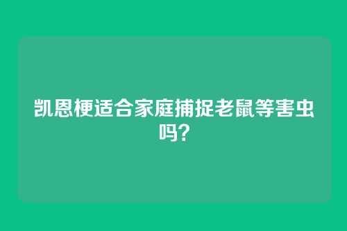 凯恩梗适合家庭捕捉老鼠等害虫吗？