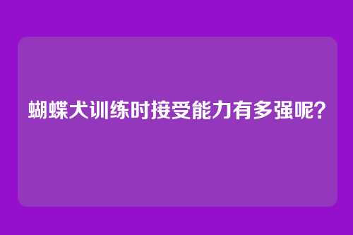 蝴蝶犬训练时接受能力有多强呢?