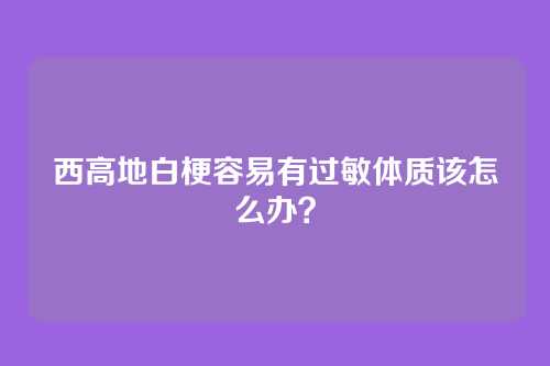西高地白梗容易有过敏体质该怎么办？