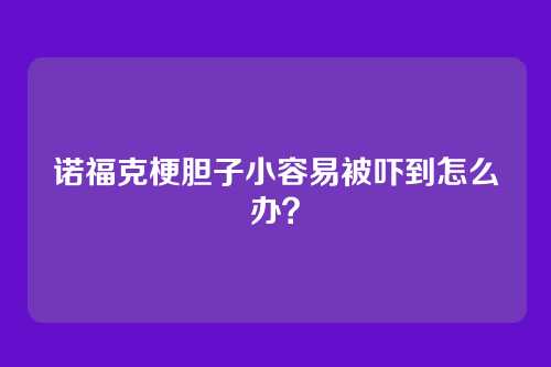 诺福克梗胆子小容易被吓到怎么办？