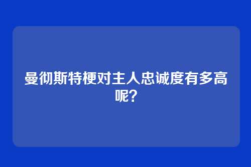 曼彻斯特梗对主人忠诚度有多高呢?