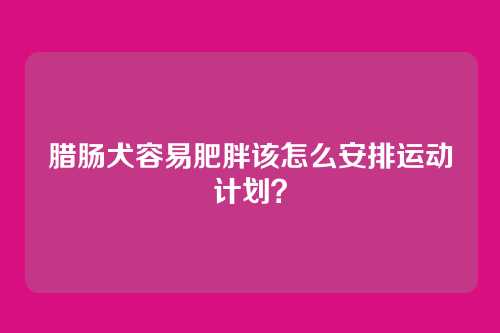 腊肠犬容易肥胖该怎么安排运动计划?