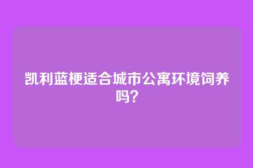 凯利蓝梗适合城市公寓环境饲养吗？