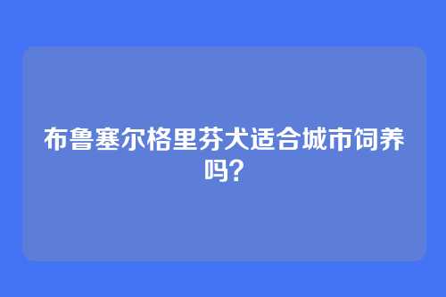 布鲁塞尔格里芬犬适合城市饲养吗？