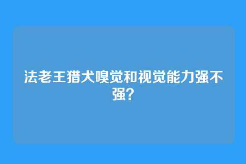 法老王猎犬嗅觉和视觉能力强不强？