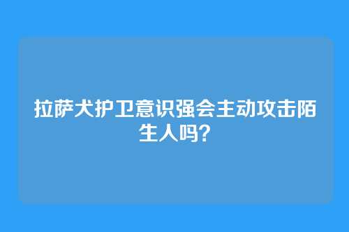 拉萨犬护卫意识强会主动攻击陌生人吗？