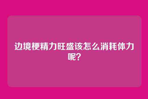 边境梗精力旺盛该怎么消耗体力呢？