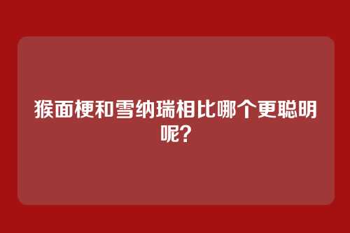 猴面梗和雪纳瑞相比哪个更聪明呢？