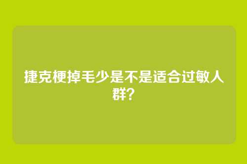 捷克梗掉毛少是不是适合过敏人群?