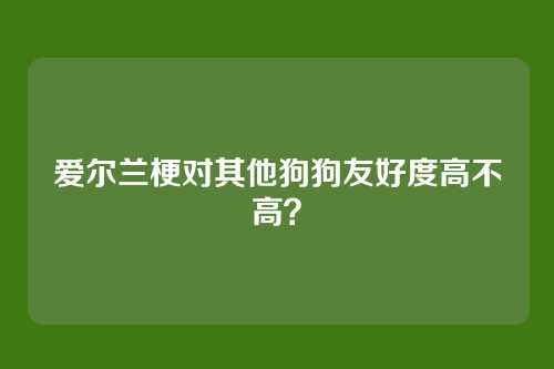 爱尔兰梗对其他狗狗友好度高不高？