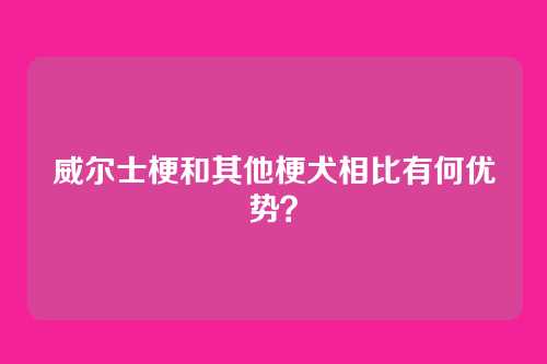 威尔士梗和其他梗犬相比有何优势？