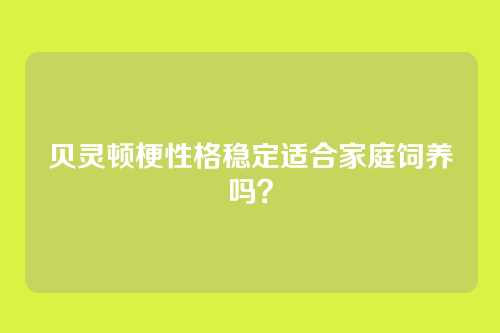 贝灵顿梗性格稳定适合家庭饲养吗?