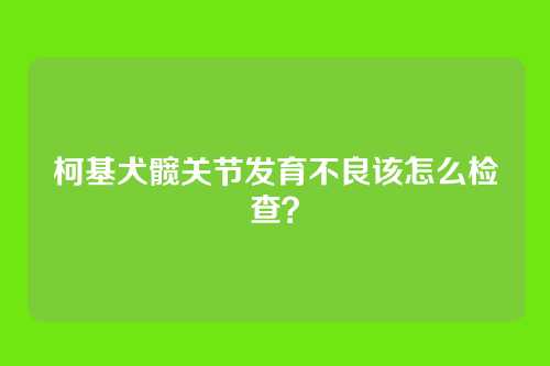 柯基犬髋关节发育不良该怎么检查?