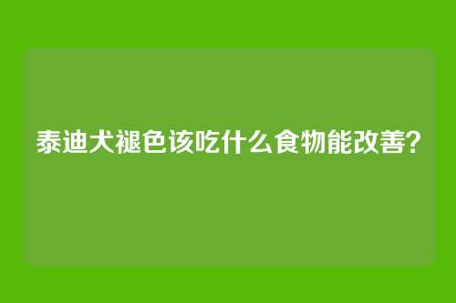 泰迪犬褪色该吃什么食物能改善？