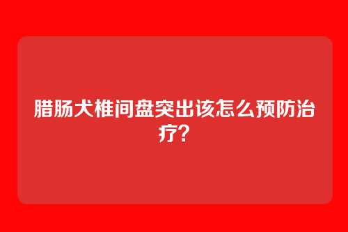 腊肠犬椎间盘突出该怎么预防治疗?