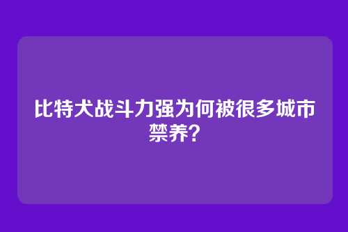 比特犬战斗力强为何被很多城市禁养？