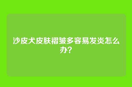 沙皮犬皮肤褶皱多容易发炎怎么办？