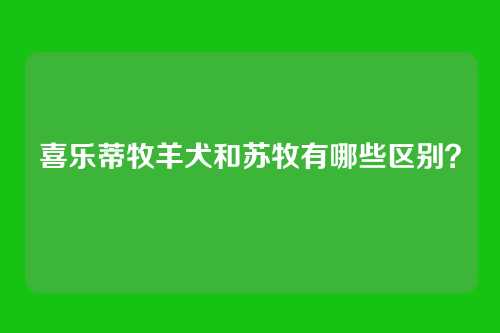 喜乐蒂牧羊犬和苏牧有哪些区别？