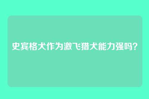 史宾格犬作为激飞猎犬能力强吗?