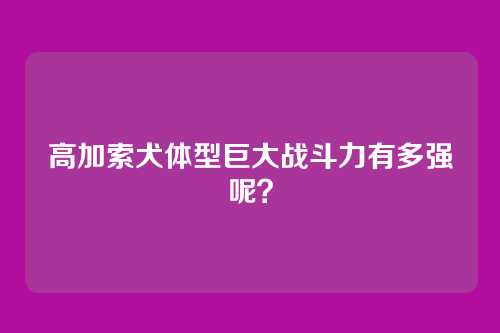 高加索犬体型巨大战斗力有多强呢？