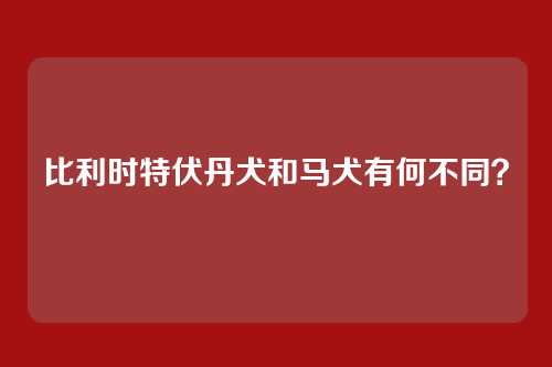 比利时特伏丹犬和马犬有何不同？