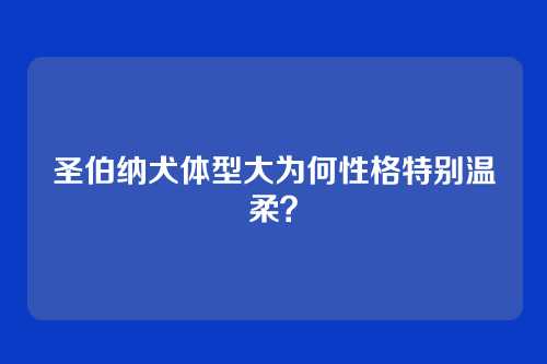 圣伯纳犬体型大为何性格特别温柔？