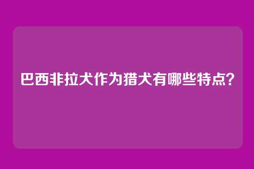巴西非拉犬作为猎犬有哪些特点?