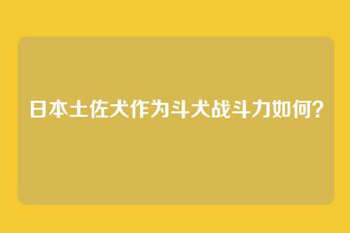 日本土佐犬作为斗犬战斗力如何?