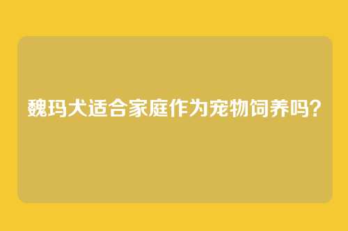 魏玛犬适合家庭作为宠物饲养吗?