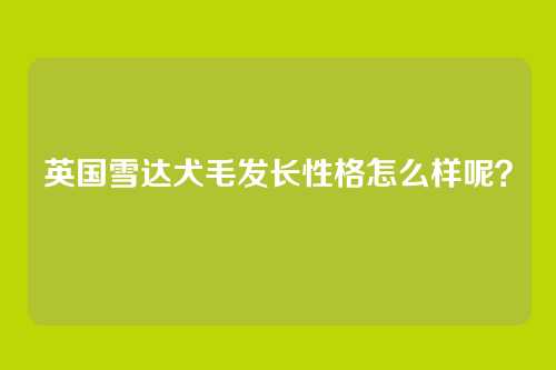 英国雪达犬毛发长性格怎么样呢?