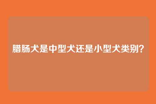 腊肠犬是中型犬还是小型犬类别?