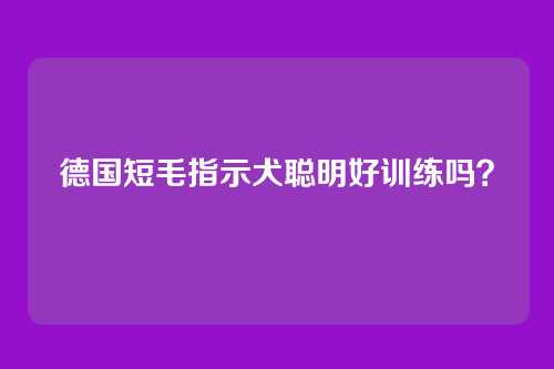 德国短毛指示犬聪明好训练吗？