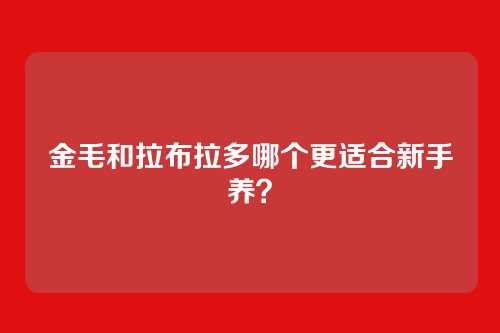 金毛和拉布拉多哪个更适合新手养？