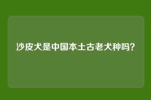 沙皮犬是中国本土古老犬种吗?