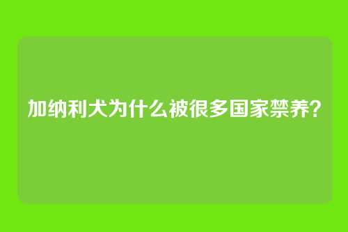 加纳利犬为什么被很多国家禁养？