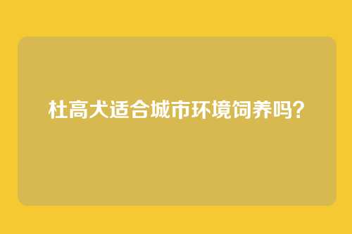 杜高犬适合城市环境饲养吗？