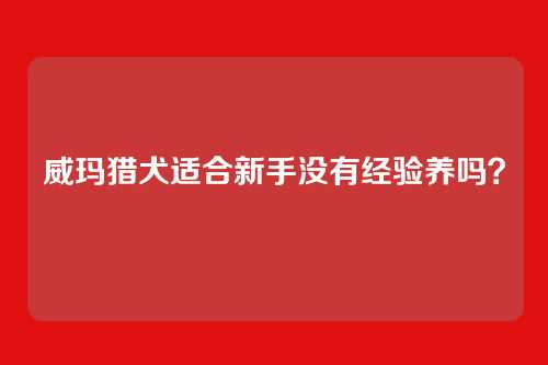 威玛猎犬适合新手没有经验养吗?