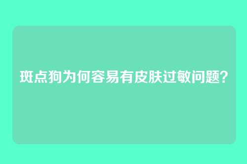斑点狗为何容易有皮肤过敏问题?