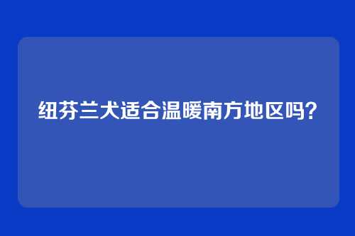 纽芬兰犬适合温暖南方地区吗？