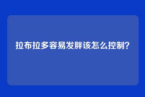 拉布拉多容易发胖该怎么控制？