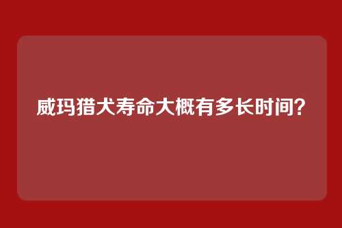 威玛猎犬寿命大概有多长时间？