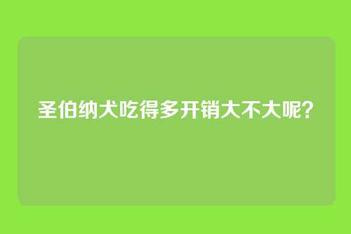 圣伯纳犬吃得多开销大不大呢？