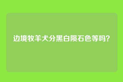 边境牧羊犬分黑白陨石色等吗？